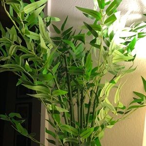 Meet your Posher, Cynthia